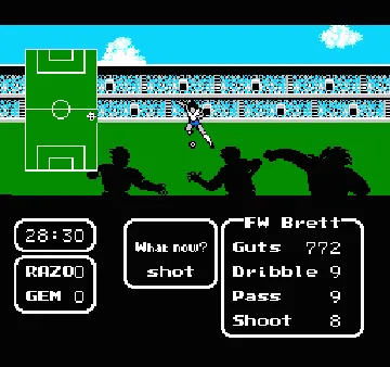 Tecmo Cup - Soccer Game (USA) screen shot game playing